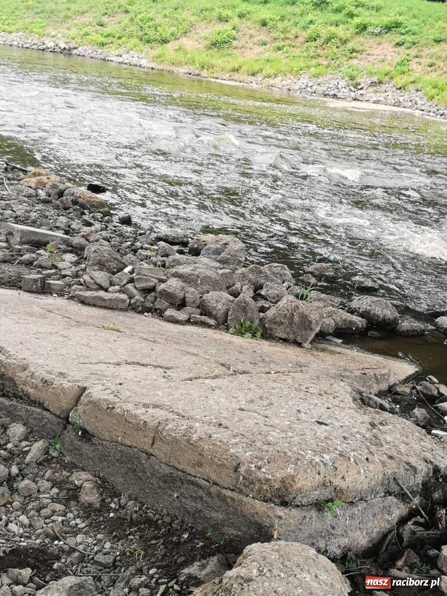 Zdjęcie w galerii na portalu naszraciborz.pl: Odra odsłania dno. Jakie skarby kryje rzeka? Czy znajdzie się tajemne przejście z zamku do klasztoru dominikanek? wiadomości z regionu