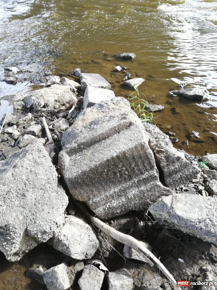 Zdjęcie w galerii na portalu naszraciborz.pl: Odra odsłania dno. Jakie skarby kryje rzeka? Czy znajdzie się tajemne przejście z zamku do klasztoru dominikanek? wiadomości z regionu