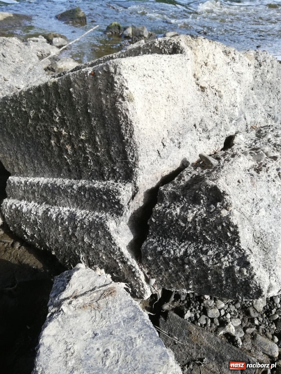 Zdjęcie w galerii na portalu naszraciborz.pl: Odra odsłania dno. Jakie skarby kryje rzeka? Czy znajdzie się tajemne przejście z zamku do klasztoru dominikanek? wiadomości z regionu