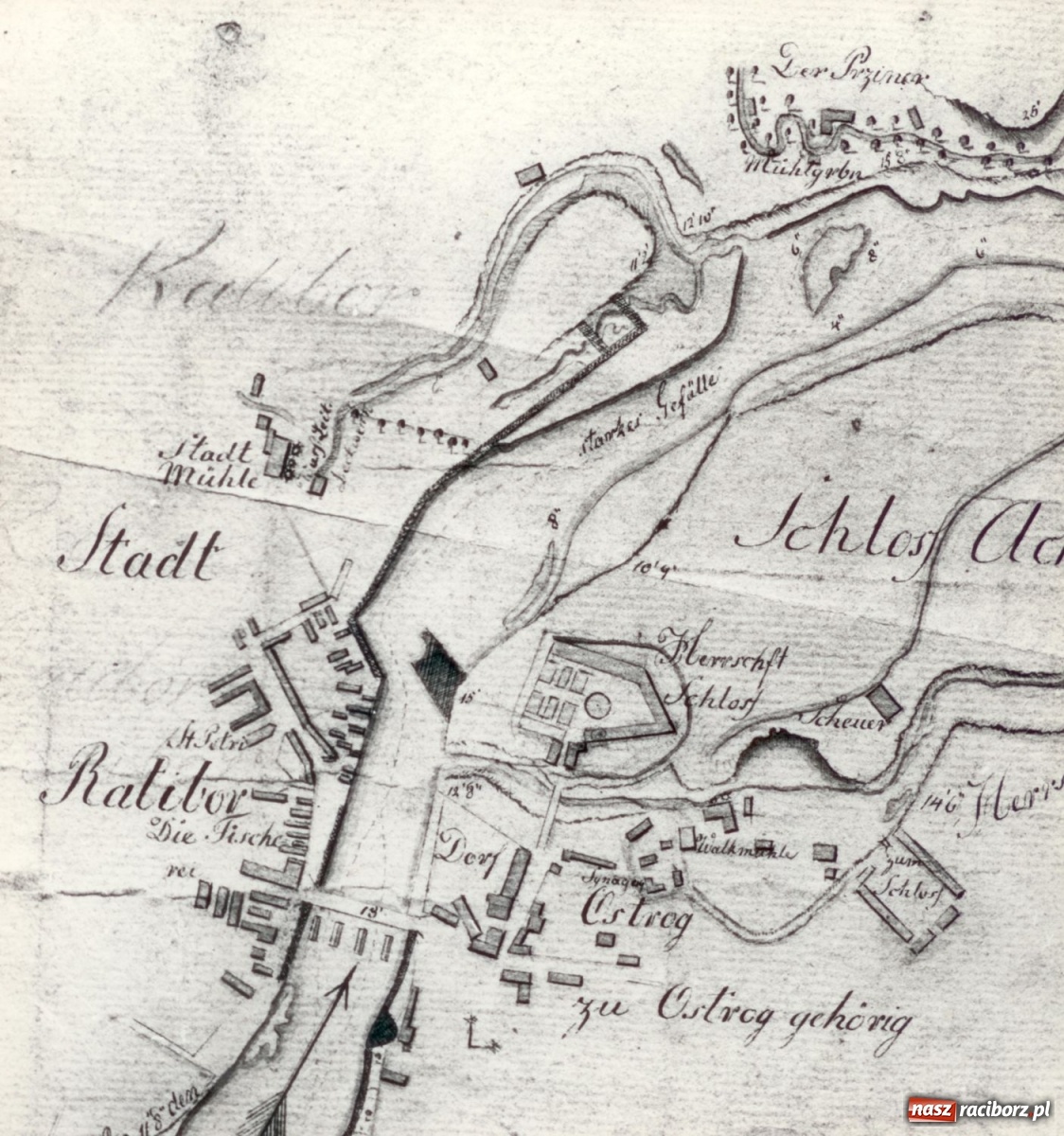 Zdjęcie w galerii na portalu naszraciborz.pl: Odra odsłania dno. Jakie skarby kryje rzeka? Czy znajdzie się tajemne przejście z zamku do klasztoru dominikanek? wiadomości z regionu