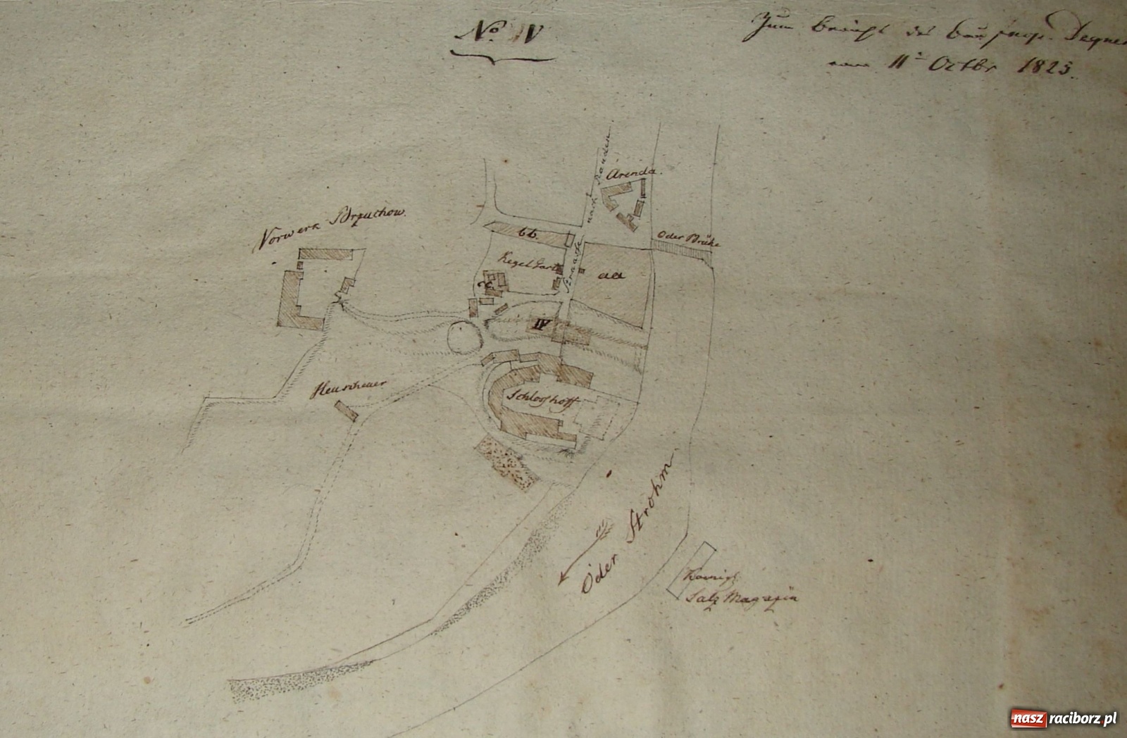 Zdjęcie w galerii na portalu naszraciborz.pl: Odra odsłania dno. Jakie skarby kryje rzeka? Czy znajdzie się tajemne przejście z zamku do klasztoru dominikanek? wiadomości z regionu