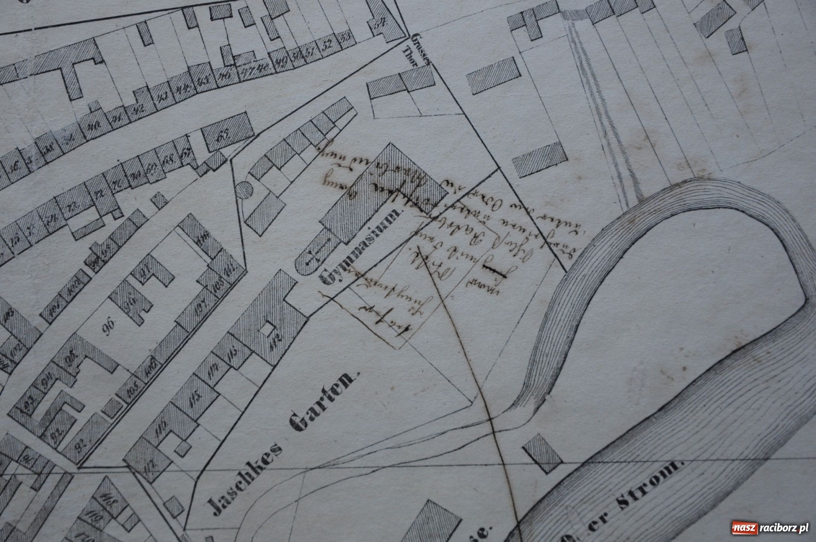 Zdjęcie w galerii na portalu naszraciborz.pl: Odra odsłania dno. Jakie skarby kryje rzeka? Czy znajdzie się tajemne przejście z zamku do klasztoru dominikanek? wiadomości z regionu