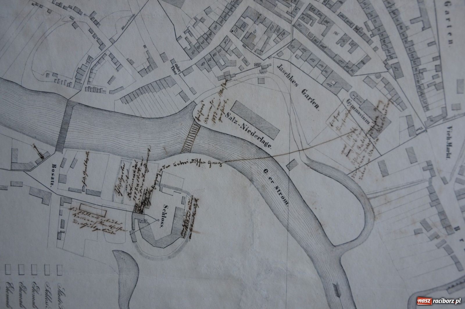 Zdjęcie w galerii na portalu naszraciborz.pl: Odra odsłania dno. Jakie skarby kryje rzeka? Czy znajdzie się tajemne przejście z zamku do klasztoru dominikanek? wiadomości z regionu