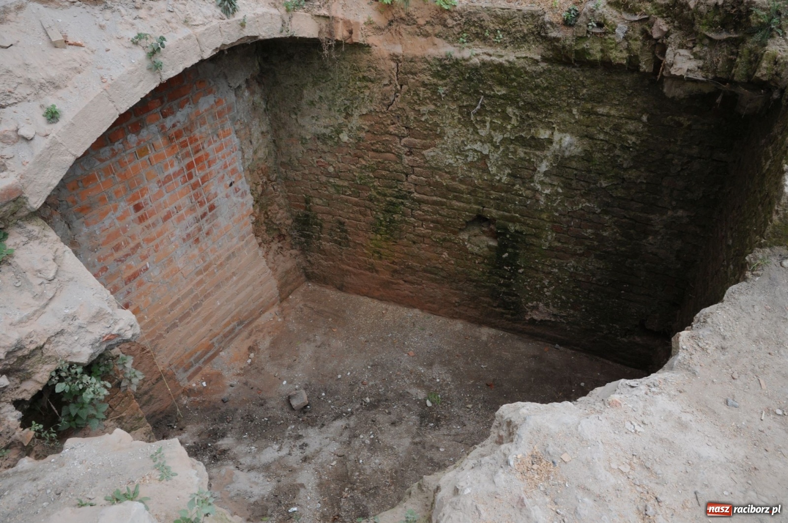 Zdjęcie w galerii na portalu naszraciborz.pl: Odra odsłania dno. Jakie skarby kryje rzeka? Czy znajdzie się tajemne przejście z zamku do klasztoru dominikanek? wiadomości z regionu