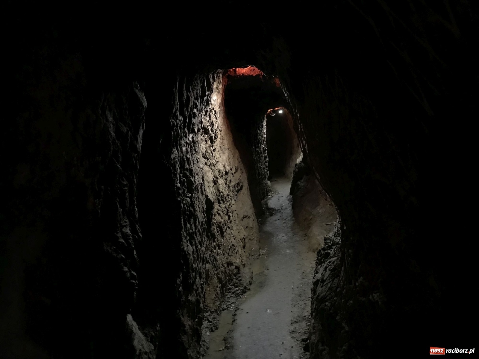 Zdjęcie w galerii na portalu naszraciborz.pl: Odra odsłania dno. Jakie skarby kryje rzeka? Czy znajdzie się tajemne przejście z zamku do klasztoru dominikanek? wiadomości z regionu