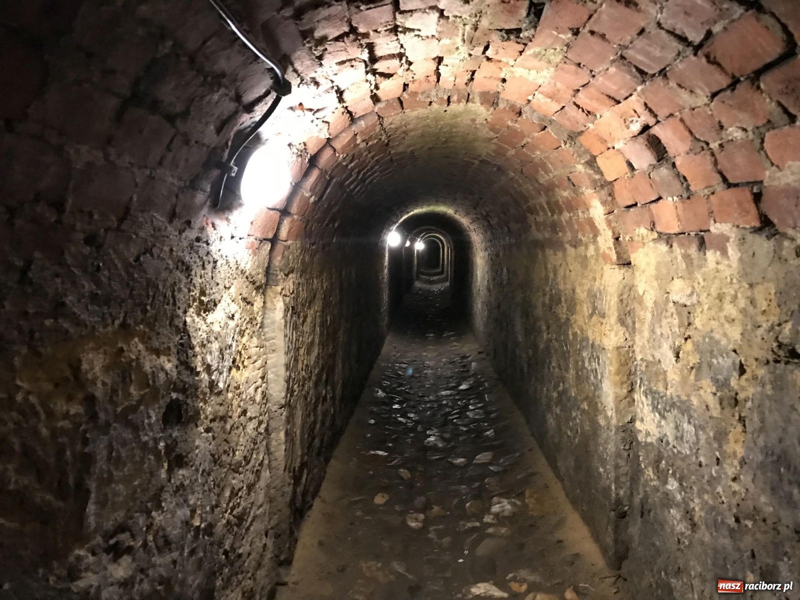 Zdjęcie w galerii na portalu naszraciborz.pl: Odra odsłania dno. Jakie skarby kryje rzeka? Czy znajdzie się tajemne przejście z zamku do klasztoru dominikanek? wiadomości z regionu