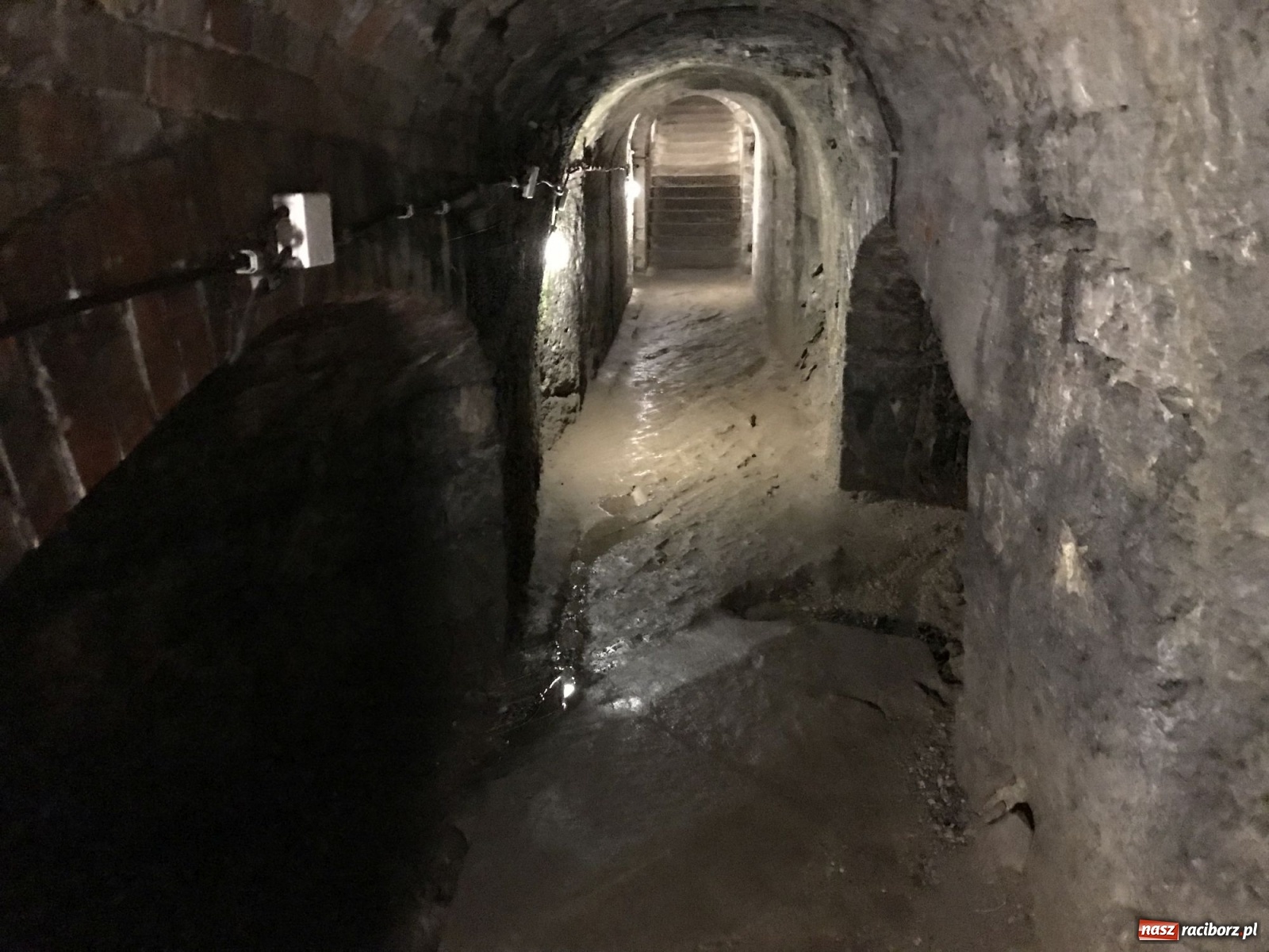 Zdjęcie w galerii na portalu naszraciborz.pl: Odra odsłania dno. Jakie skarby kryje rzeka? Czy znajdzie się tajemne przejście z zamku do klasztoru dominikanek? wiadomości z regionu