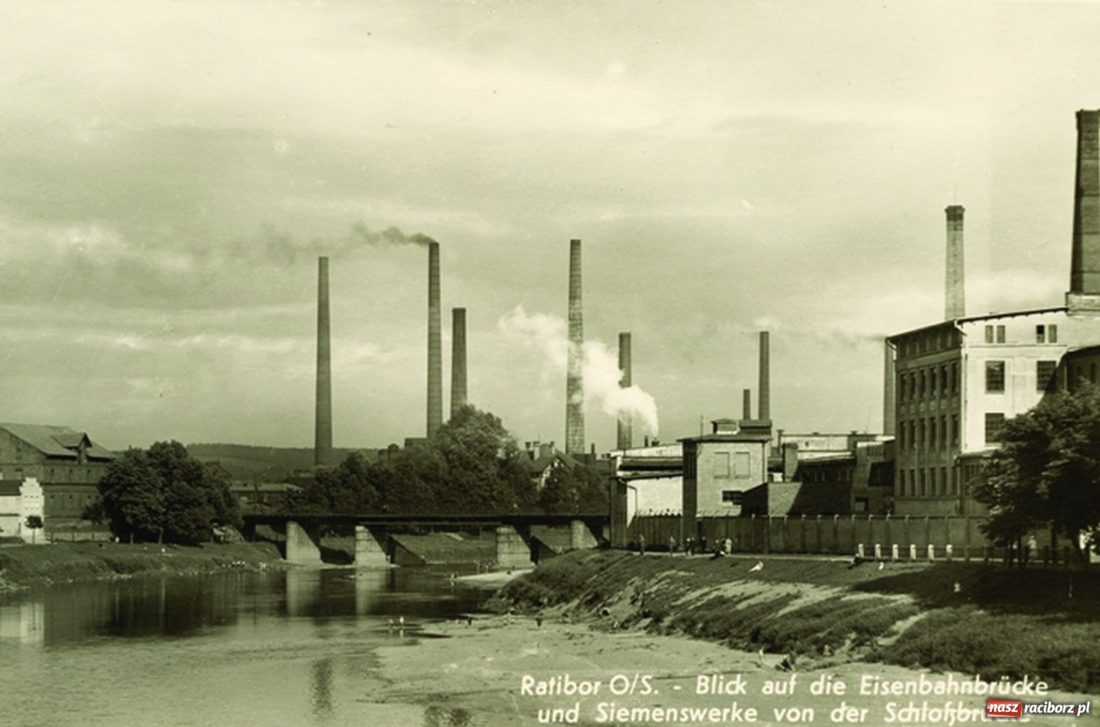 Zdjęcie w galerii na portalu naszraciborz.pl: Odra odsłania dno. Jakie skarby kryje rzeka? Czy znajdzie się tajemne przejście z zamku do klasztoru dominikanek? wiadomości z regionu
