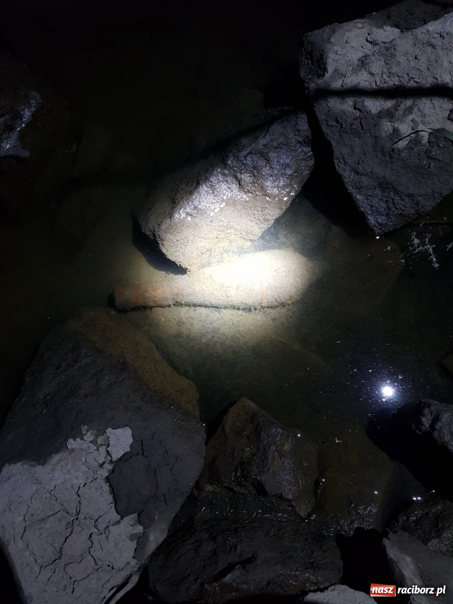 Zdjęcie w galerii na portalu naszraciborz.pl: Odra odsłania dno. Jakie skarby kryje rzeka? Czy znajdzie się tajemne przejście z zamku do klasztoru dominikanek? wiadomości z regionu