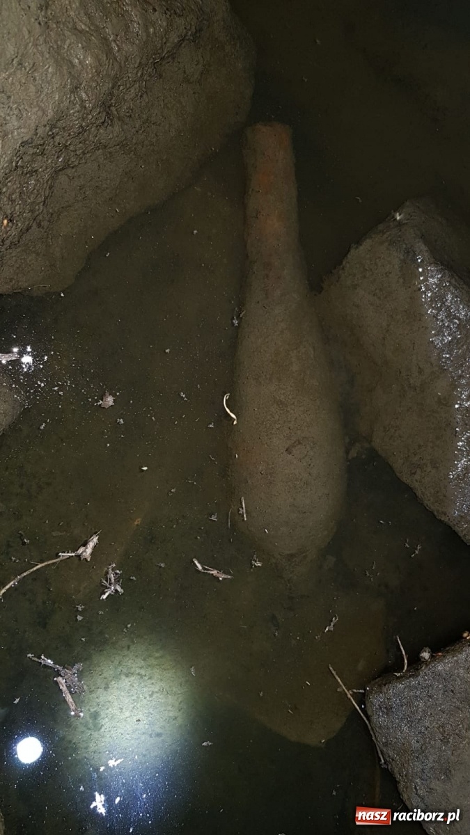 Zdjęcie w galerii na portalu naszraciborz.pl: Odra odsłania dno. Jakie skarby kryje rzeka? Czy znajdzie się tajemne przejście z zamku do klasztoru dominikanek? wiadomości z regionu