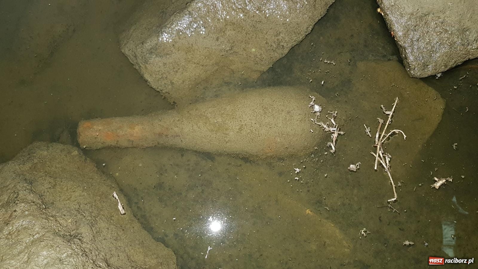 Zdjęcie w galerii na portalu naszraciborz.pl: Odra odsłania dno. Jakie skarby kryje rzeka? Czy znajdzie się tajemne przejście z zamku do klasztoru dominikanek? wiadomości z regionu