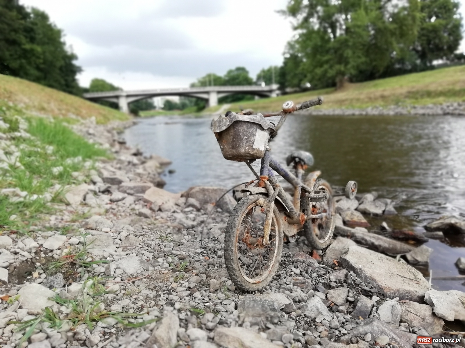 Zdjęcie w galerii na portalu naszraciborz.pl: Odra odsłania dno. Jakie skarby kryje rzeka? Czy znajdzie się tajemne przejście z zamku do klasztoru dominikanek? wiadomości z regionu
