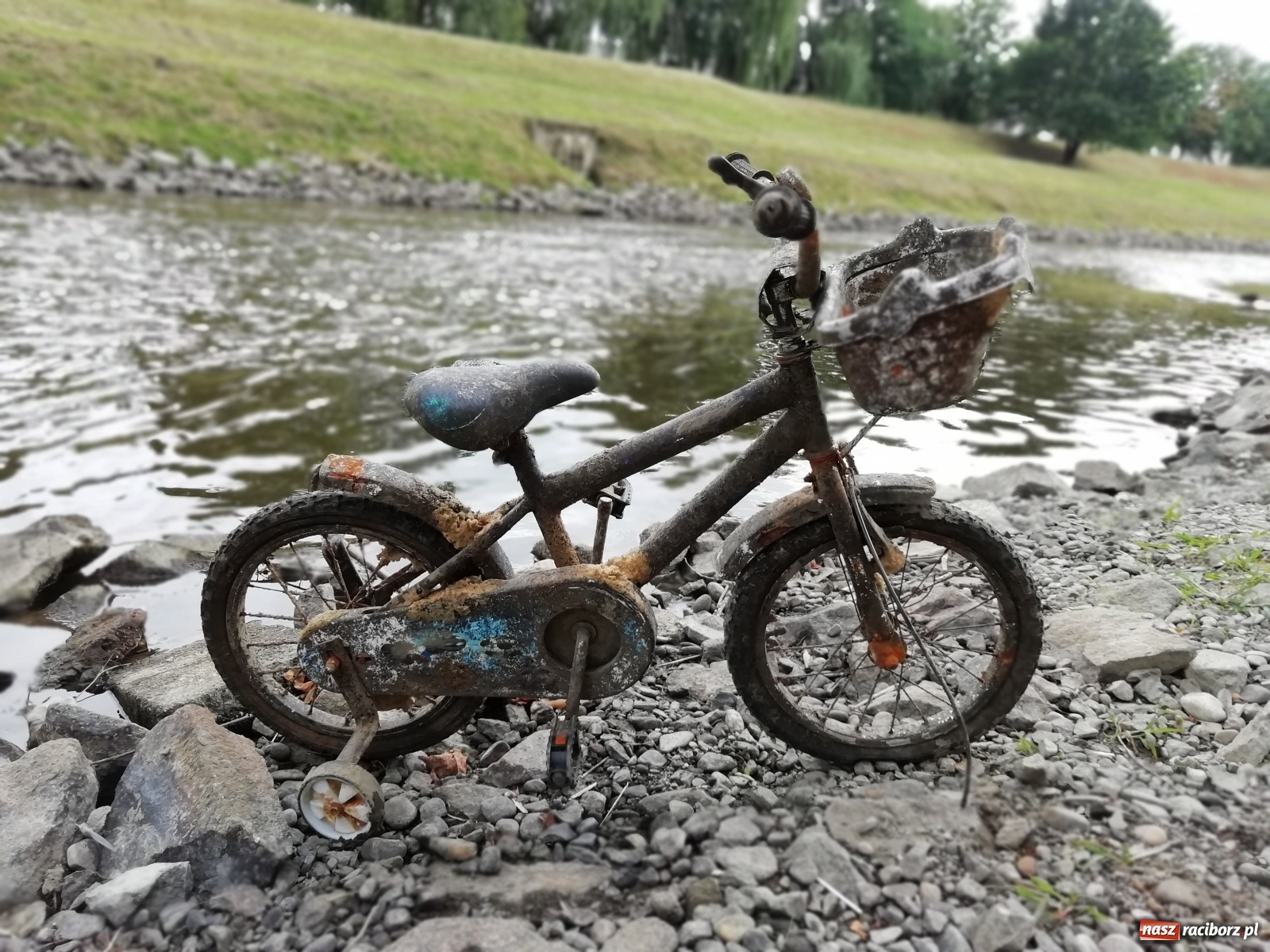 Zdjęcie w galerii na portalu naszraciborz.pl: Odra odsłania dno. Jakie skarby kryje rzeka? Czy znajdzie się tajemne przejście z zamku do klasztoru dominikanek? wiadomości z regionu