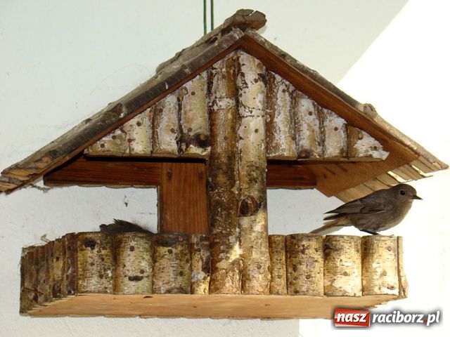 Zdjęcie w galerii na portalu naszraciborz.pl: Na balkonie ma kopciuszki wiadomości z regionu