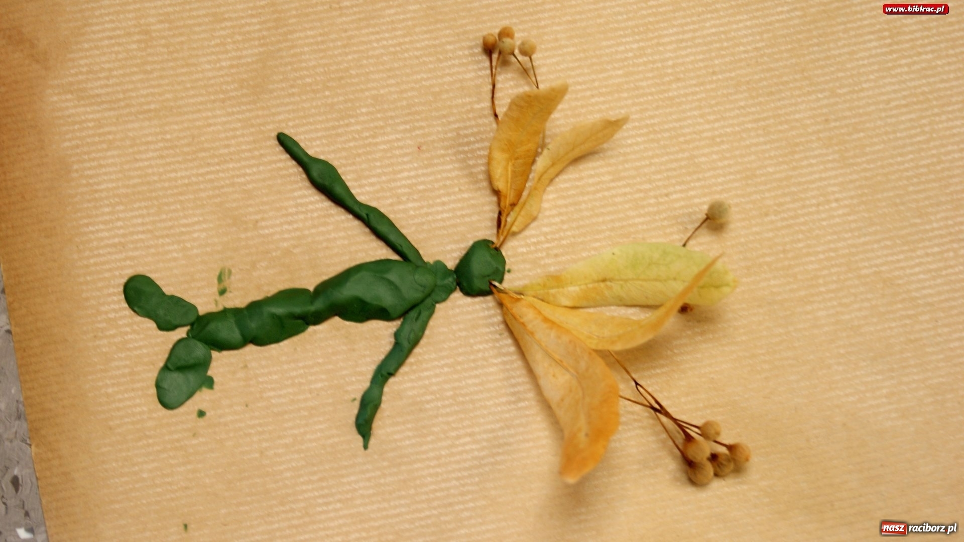 Zdjęcie w galerii na portalu naszraciborz.pl: Szkoła Magii i Czarodziejstwa przy Kasprowicza 12  wiadomości z regionu