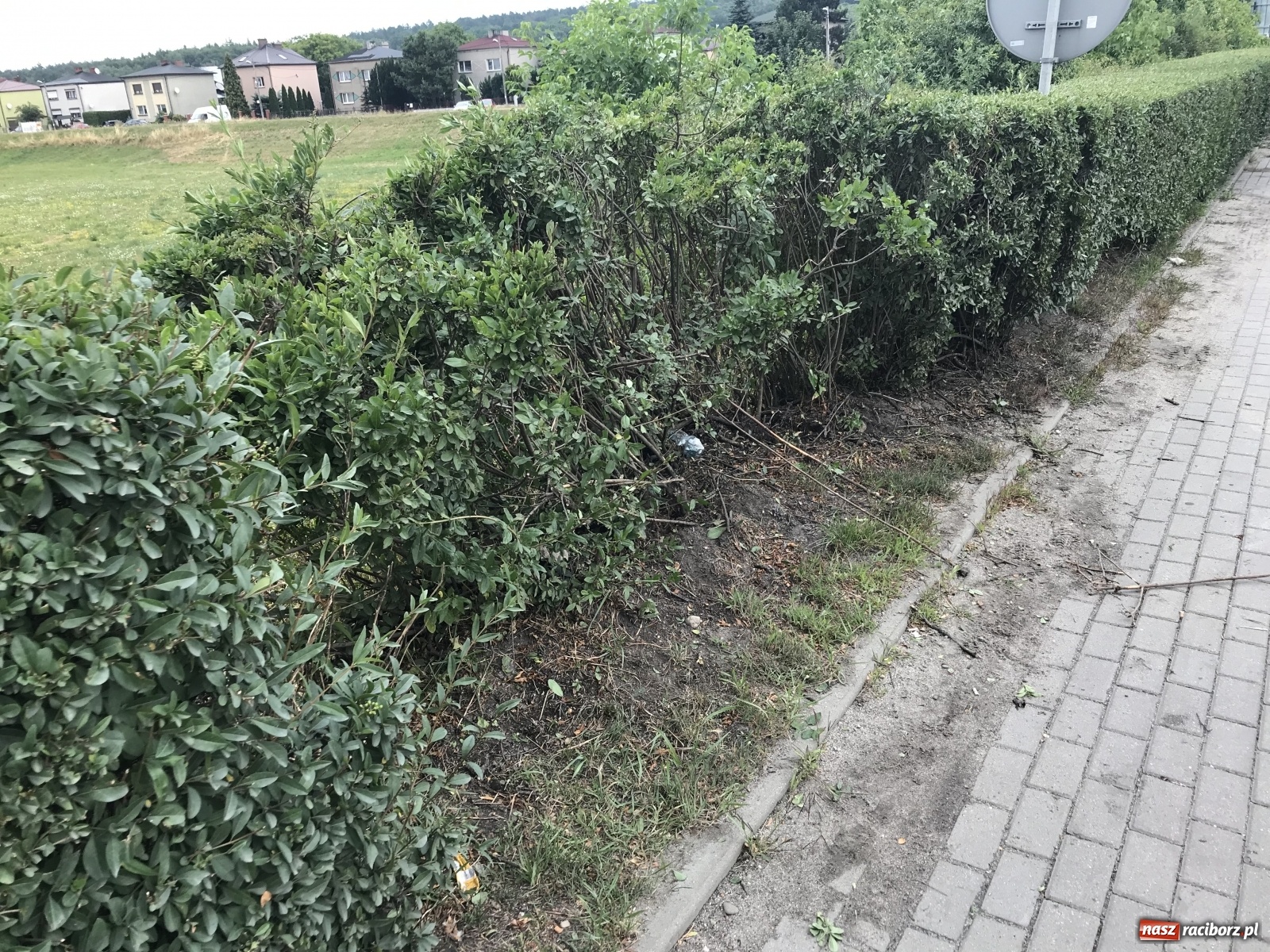 Zdjęcie w galerii na portalu naszraciborz.pl: DW 935. Golf wypadł z jezdni na Rybnickiej [FOTO] wiadomości z regionu