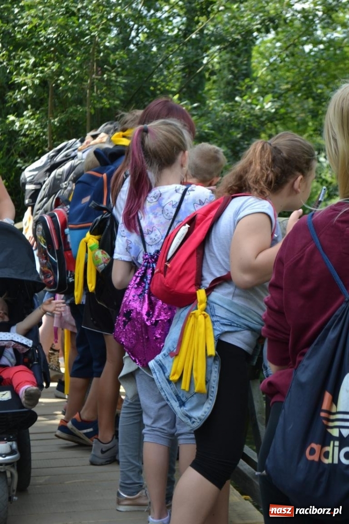 Zdjęcie w galerii na portalu naszraciborz.pl: Uczestnicy projektu UNDERSTAND w Opolskim ZOO  wiadomości z regionu