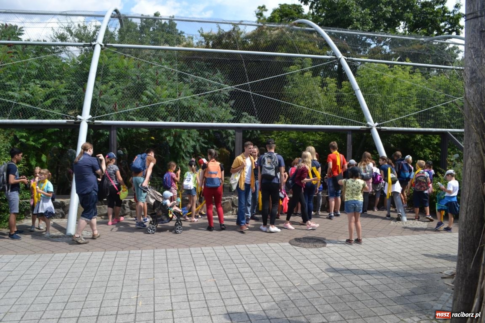 Zdjęcie w galerii na portalu naszraciborz.pl: Uczestnicy projektu UNDERSTAND w Opolskim ZOO  wiadomości z regionu