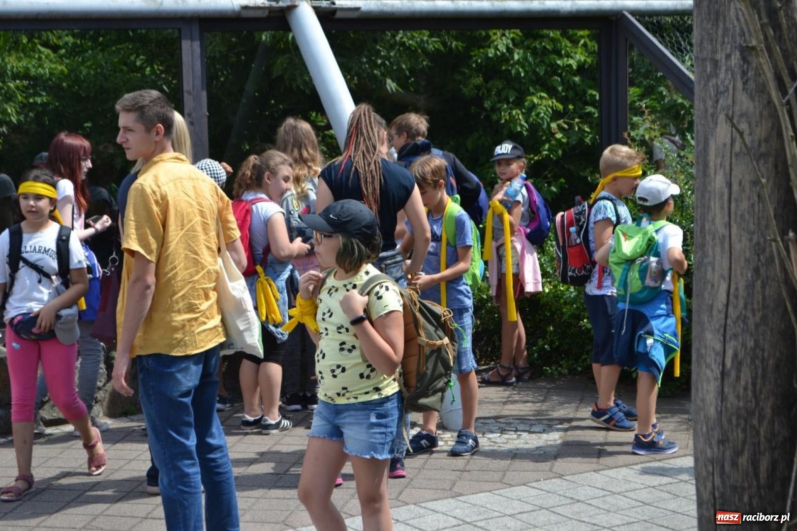 Zdjęcie w galerii na portalu naszraciborz.pl: Uczestnicy projektu UNDERSTAND w Opolskim ZOO  wiadomości z regionu