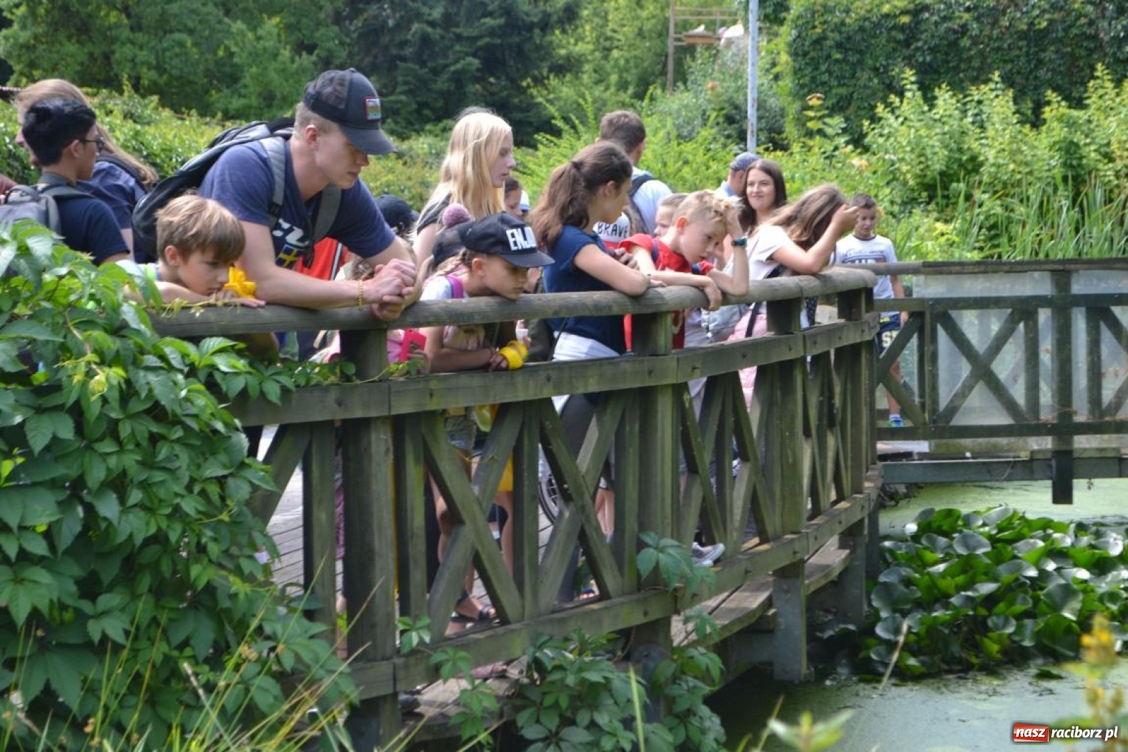 Zdjęcie w galerii na portalu naszraciborz.pl: Uczestnicy projektu UNDERSTAND w Opolskim ZOO  wiadomości z regionu