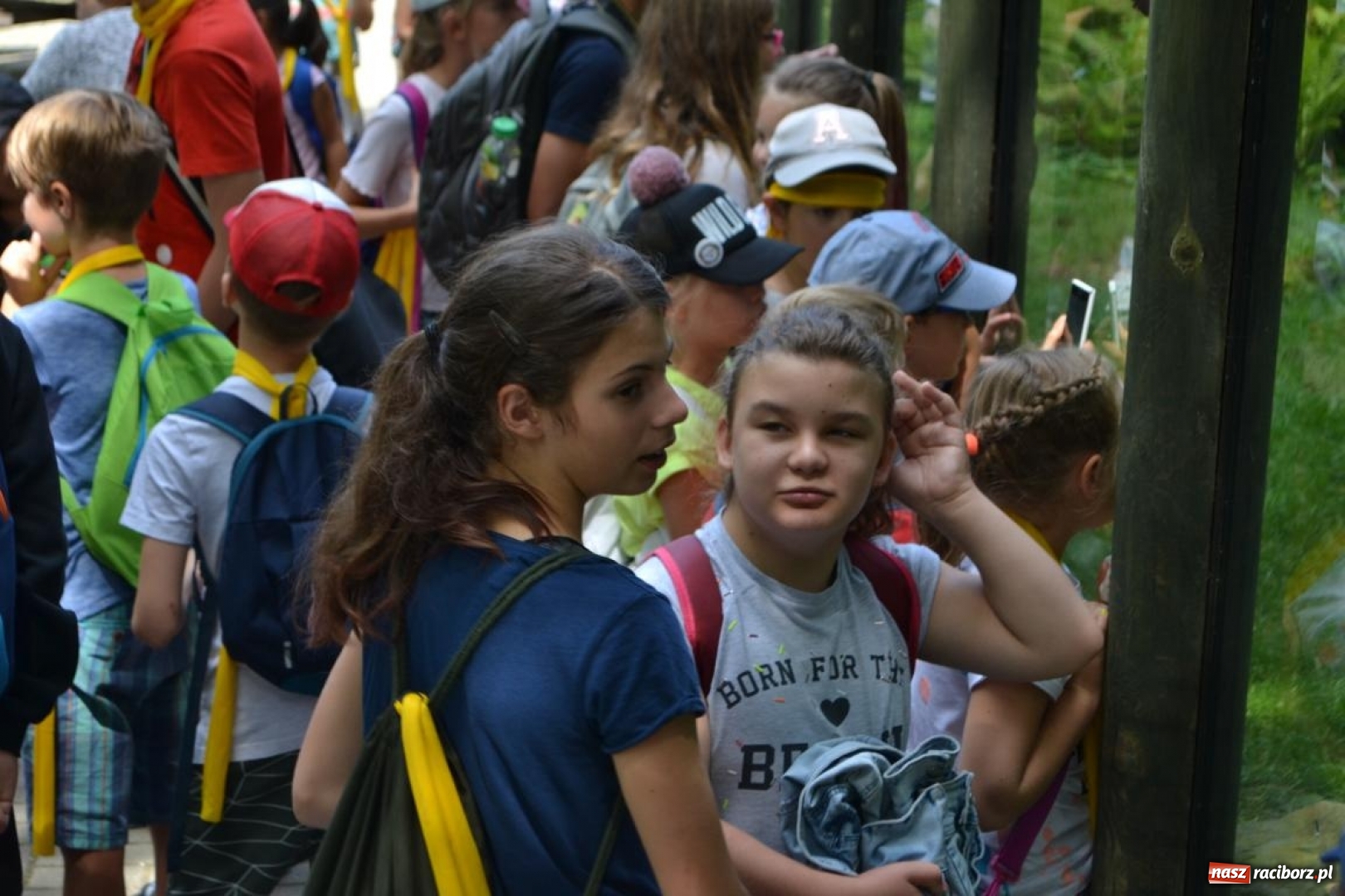 Zdjęcie w galerii na portalu naszraciborz.pl: Uczestnicy projektu UNDERSTAND w Opolskim ZOO  wiadomości z regionu