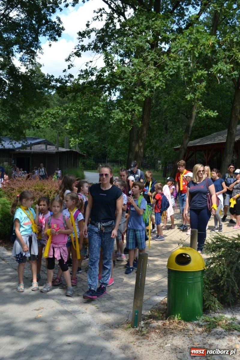 Zdjęcie w galerii na portalu naszraciborz.pl: Uczestnicy projektu UNDERSTAND w Opolskim ZOO  wiadomości z regionu