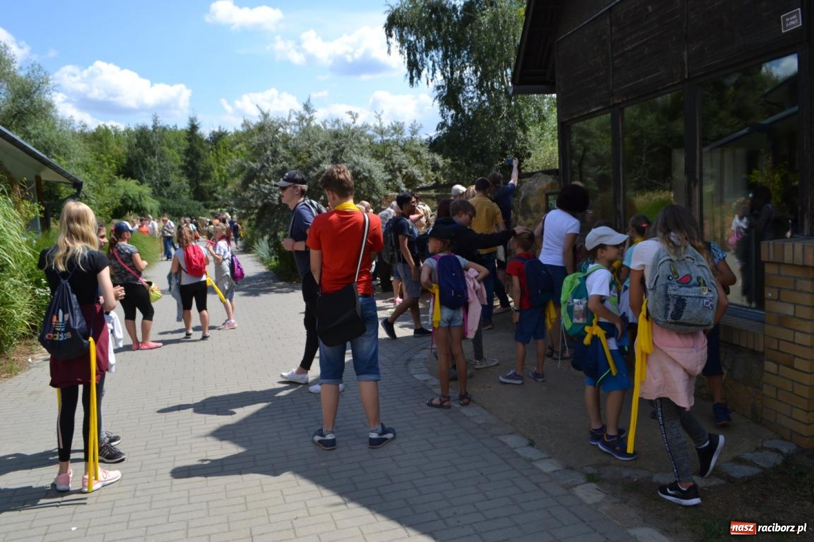 Zdjęcie w galerii na portalu naszraciborz.pl: Uczestnicy projektu UNDERSTAND w Opolskim ZOO  wiadomości z regionu