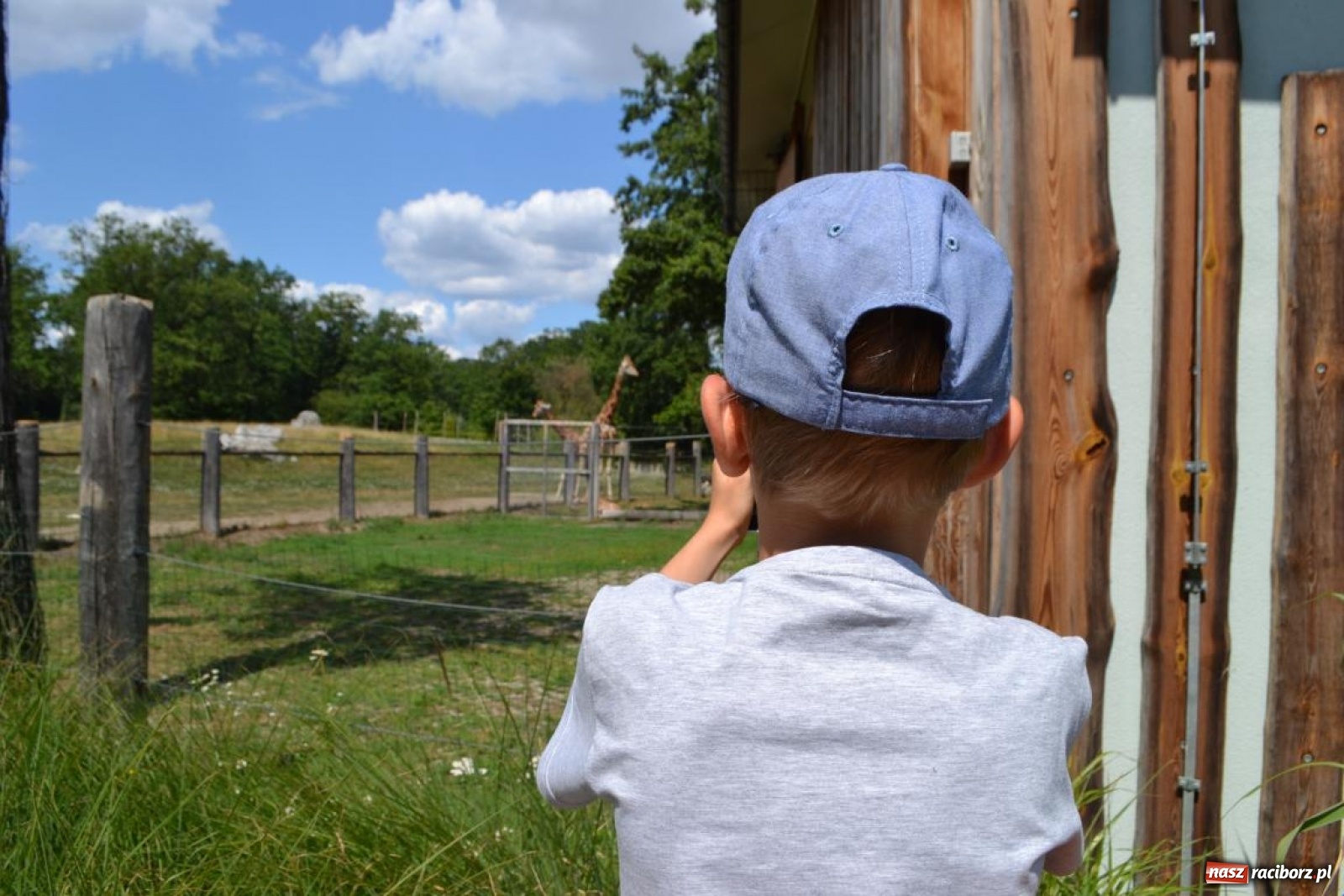 Zdjęcie w galerii na portalu naszraciborz.pl: Uczestnicy projektu UNDERSTAND w Opolskim ZOO  wiadomości z regionu