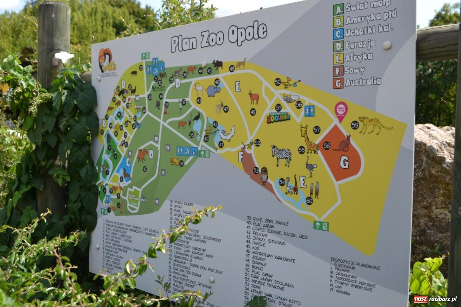 Zdjęcie w galerii na portalu naszraciborz.pl: Uczestnicy projektu UNDERSTAND w Opolskim ZOO  wiadomości z regionu