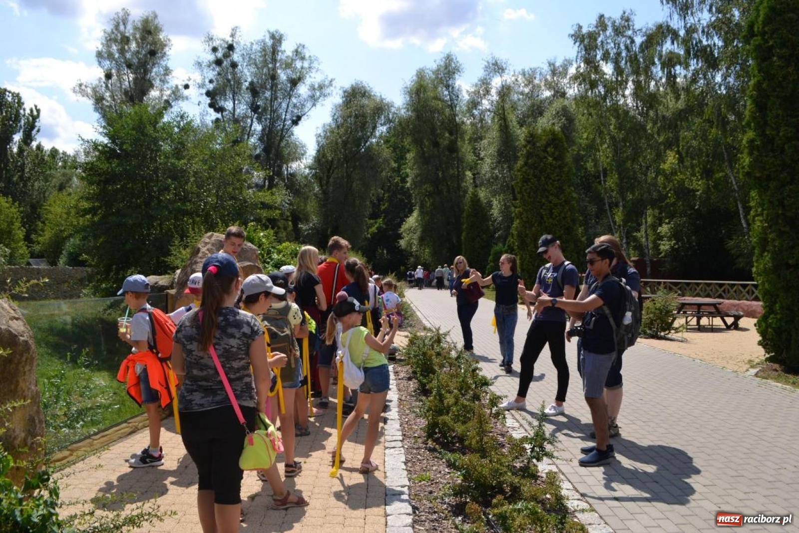 Zdjęcie w galerii na portalu naszraciborz.pl: Uczestnicy projektu UNDERSTAND w Opolskim ZOO  wiadomości z regionu