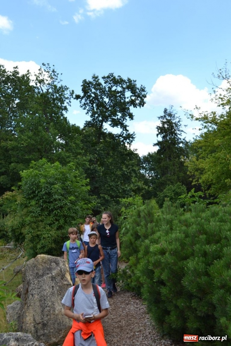 Zdjęcie w galerii na portalu naszraciborz.pl: Uczestnicy projektu UNDERSTAND w Opolskim ZOO  wiadomości z regionu