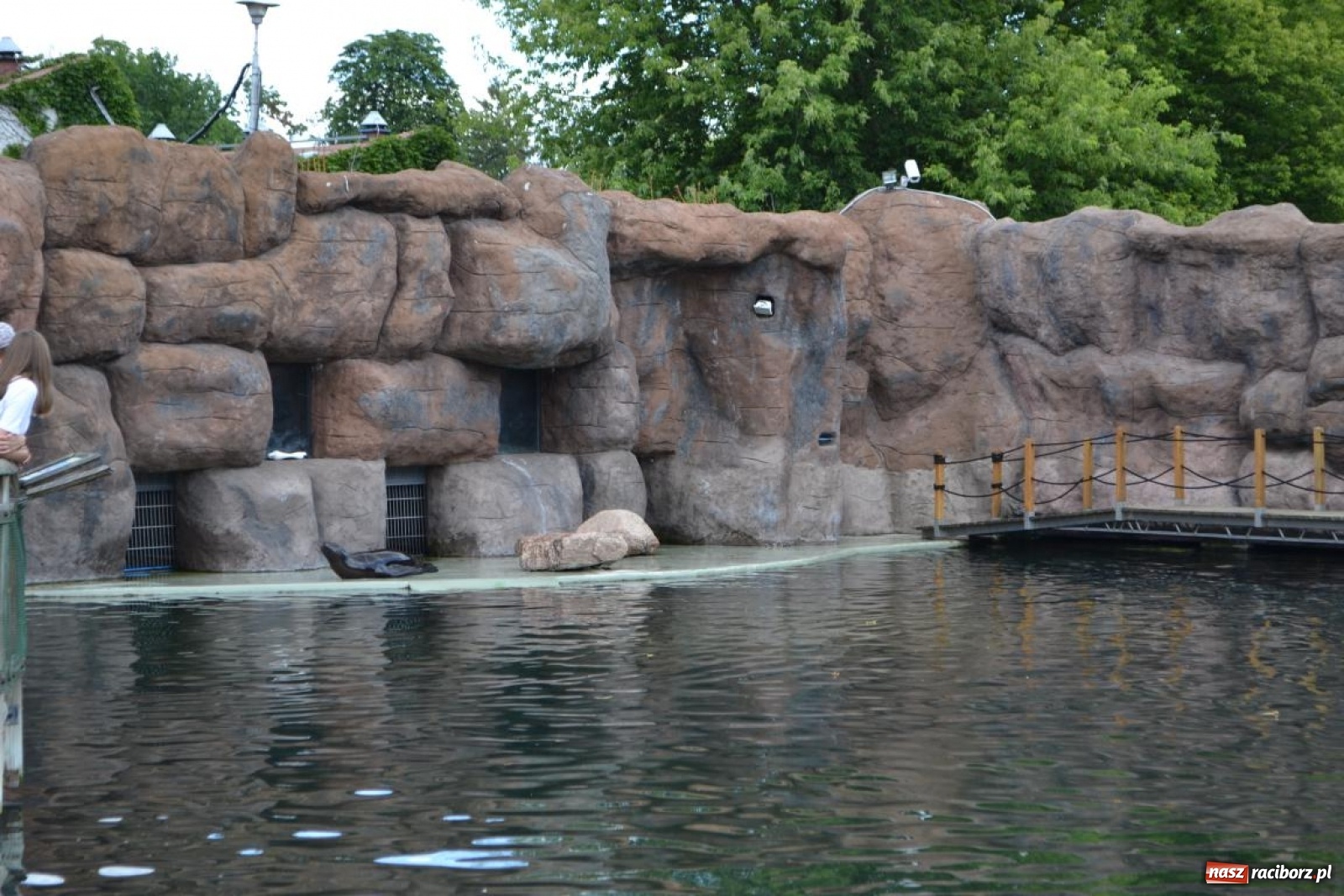 Zdjęcie w galerii na portalu naszraciborz.pl: Uczestnicy projektu UNDERSTAND w Opolskim ZOO  wiadomości z regionu