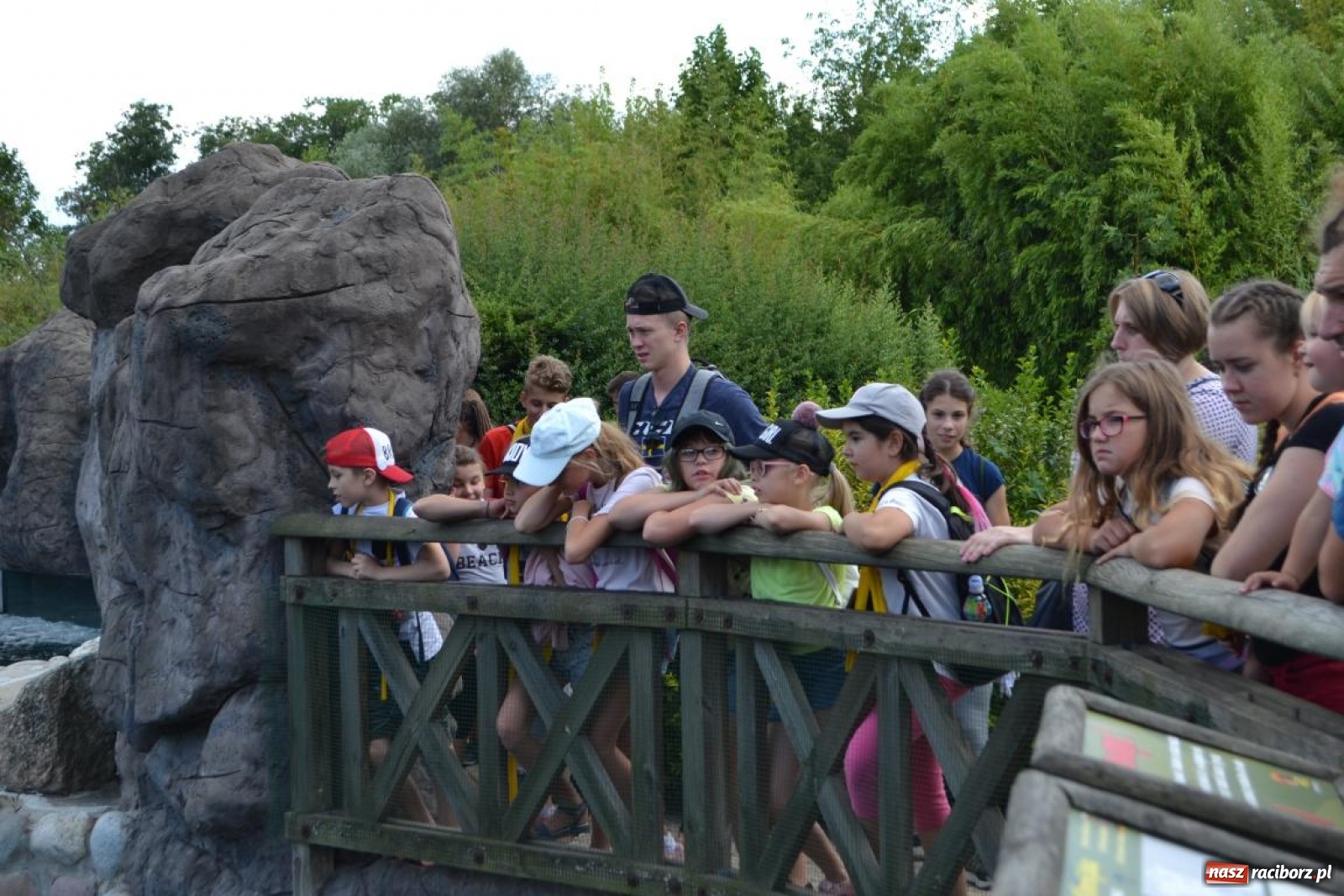 Zdjęcie w galerii na portalu naszraciborz.pl: Uczestnicy projektu UNDERSTAND w Opolskim ZOO  wiadomości z regionu