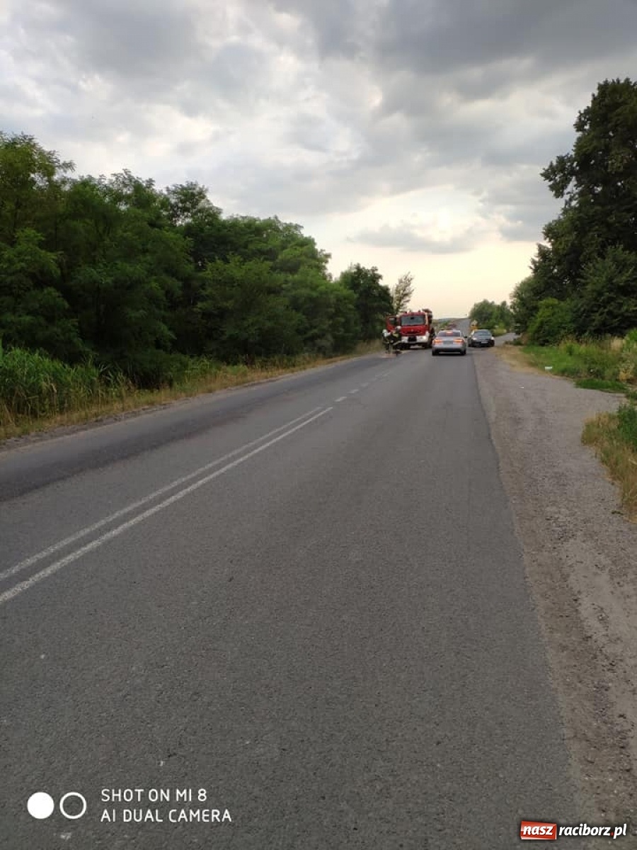 Zdjęcie w galerii na portalu naszraciborz.pl: Poranny ALARM w Krzyżanowicach  wiadomości z regionu