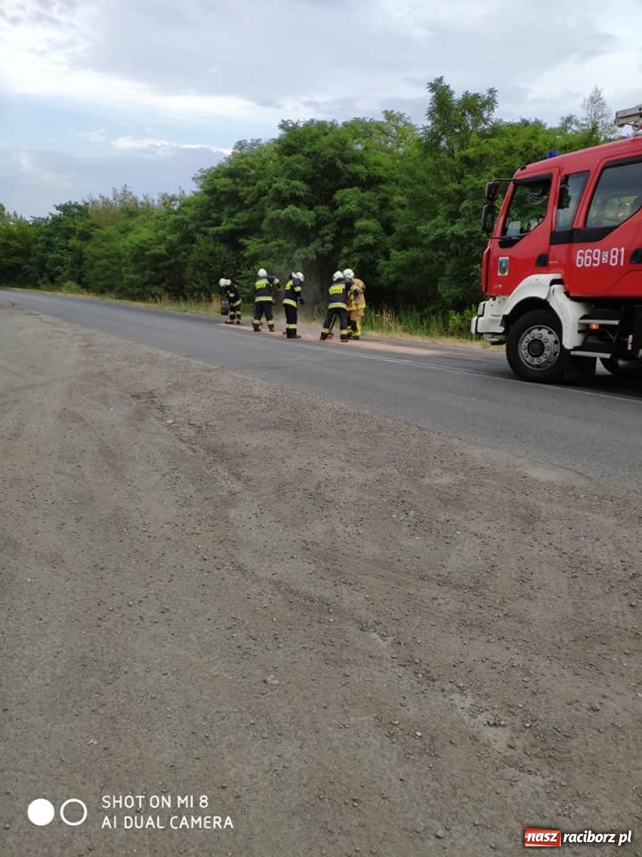 Zdjęcie w galerii na portalu naszraciborz.pl: Poranny ALARM w Krzyżanowicach  wiadomości z regionu