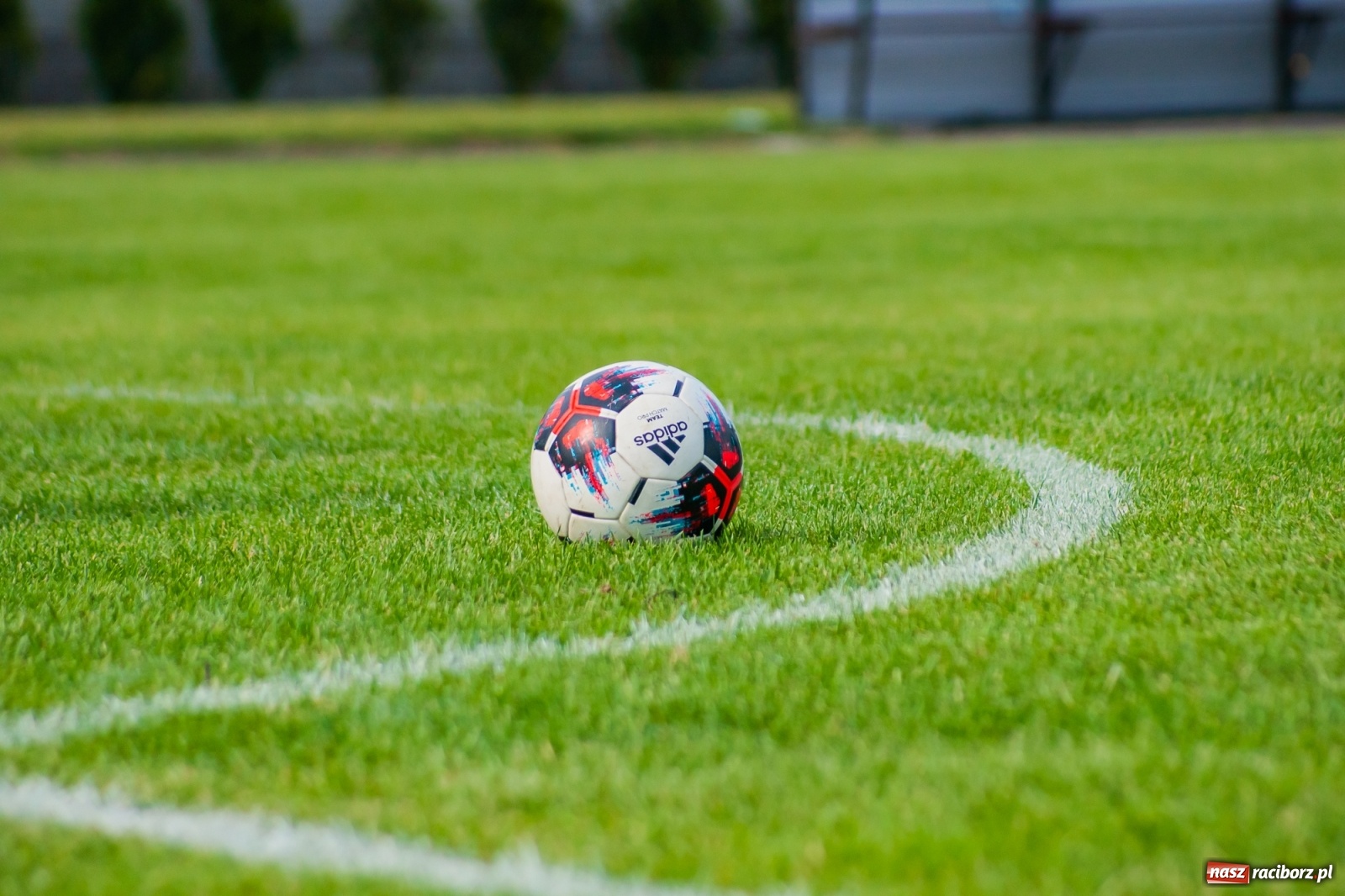 Zdjęcie w galerii na portalu naszraciborz.pl: Perfekt Home z pucharem sołtysa. Safer zdetronizowany [FOTO i WIDEO] wiadomości z regionu