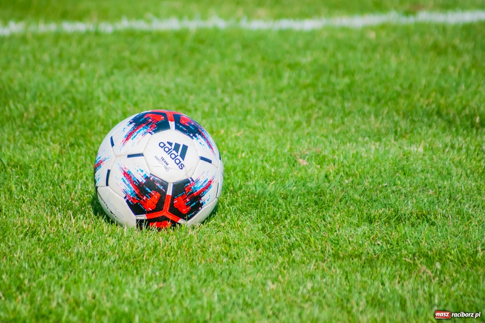 Zdjęcie w galerii na portalu naszraciborz.pl: Perfekt Home z pucharem sołtysa. Safer zdetronizowany [FOTO i WIDEO] wiadomości z regionu