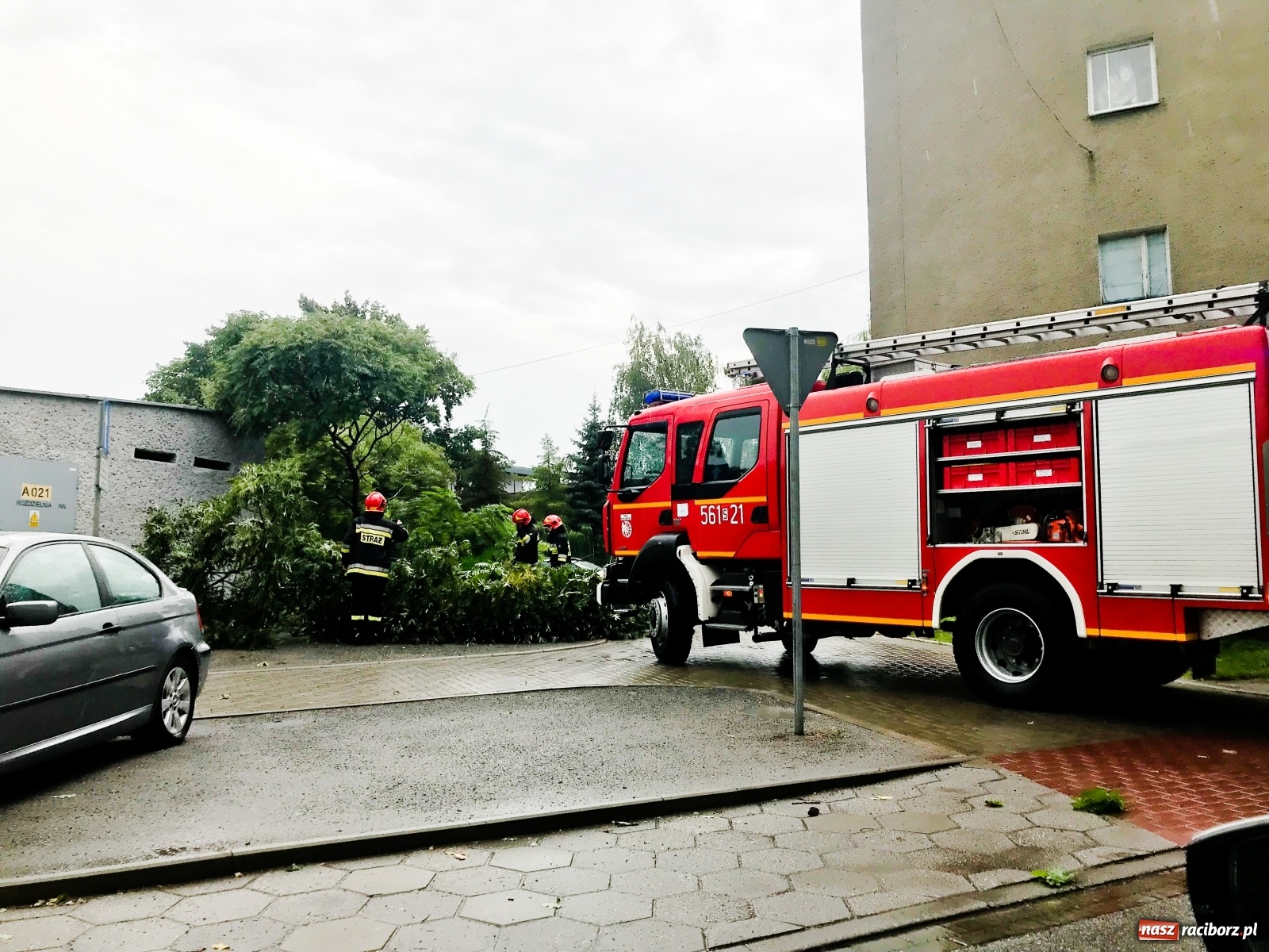 Zdjęcie w galerii na portalu naszraciborz.pl: Powalone drzewa i błoto na jezdni. Obowiązuje ostrzeżenie nr 102  wiadomości z regionu