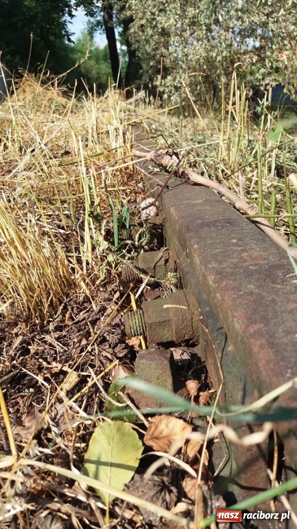 Zdjęcie w galerii na portalu naszraciborz.pl: Bomba wpadła przez dach, ale nie eksplodowała!  wiadomości z regionu