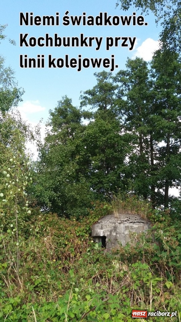 Zdjęcie w galerii na portalu naszraciborz.pl: Bomba wpadła przez dach, ale nie eksplodowała!  wiadomości z regionu