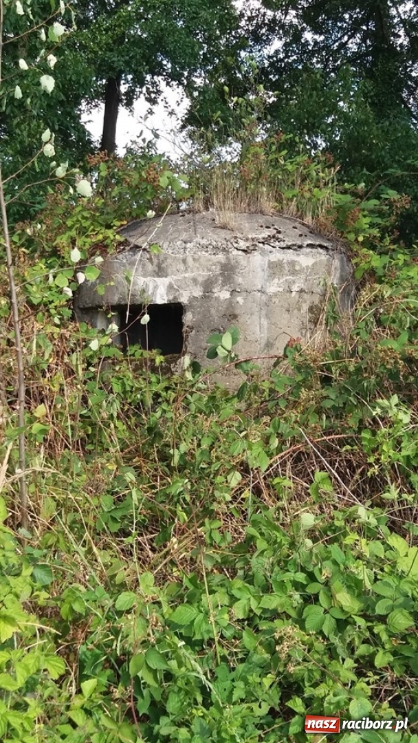 Zdjęcie w galerii na portalu naszraciborz.pl: Bomba wpadła przez dach, ale nie eksplodowała!  wiadomości z regionu