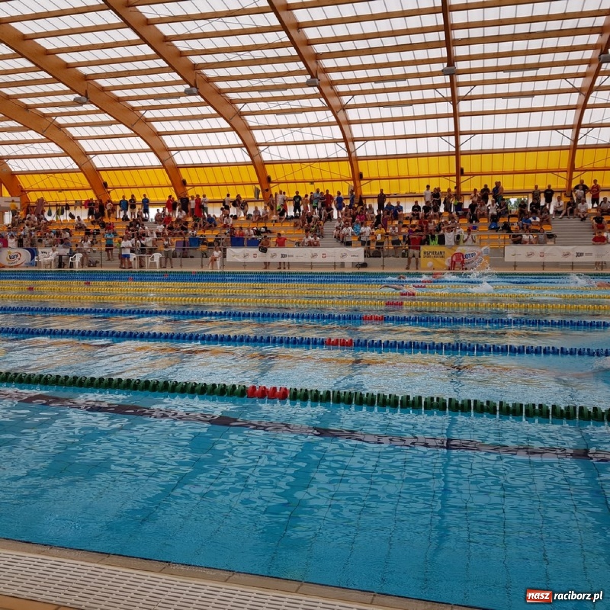 Zdjęcie w galerii na portalu naszraciborz.pl: Pływanie. Magdalena Modrzejewska i Patryk Rożenek z medalami Mistrzostw Polski wiadomości z regionu