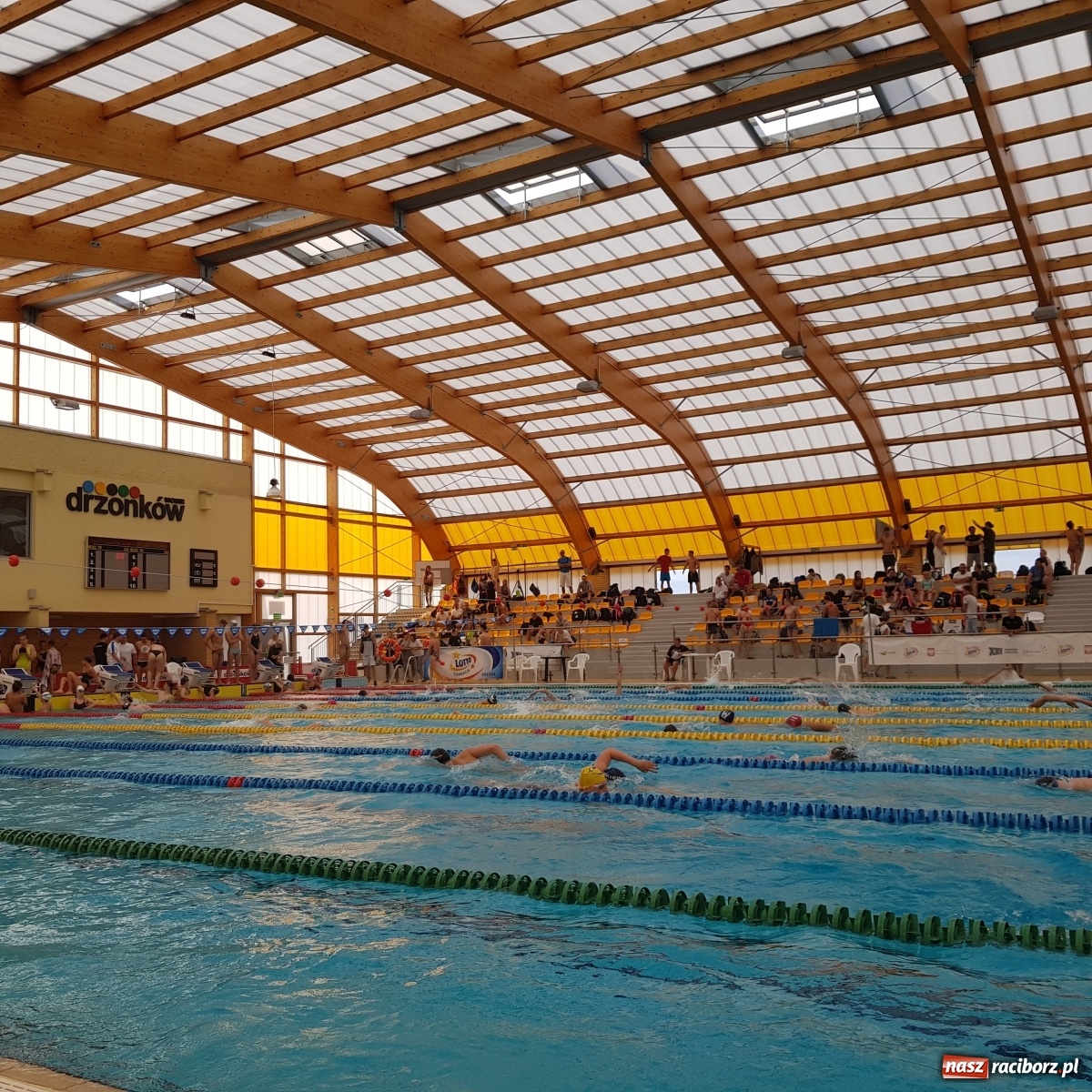 Zdjęcie w galerii na portalu naszraciborz.pl: Pływanie. Magdalena Modrzejewska i Patryk Rożenek z medalami Mistrzostw Polski wiadomości z regionu