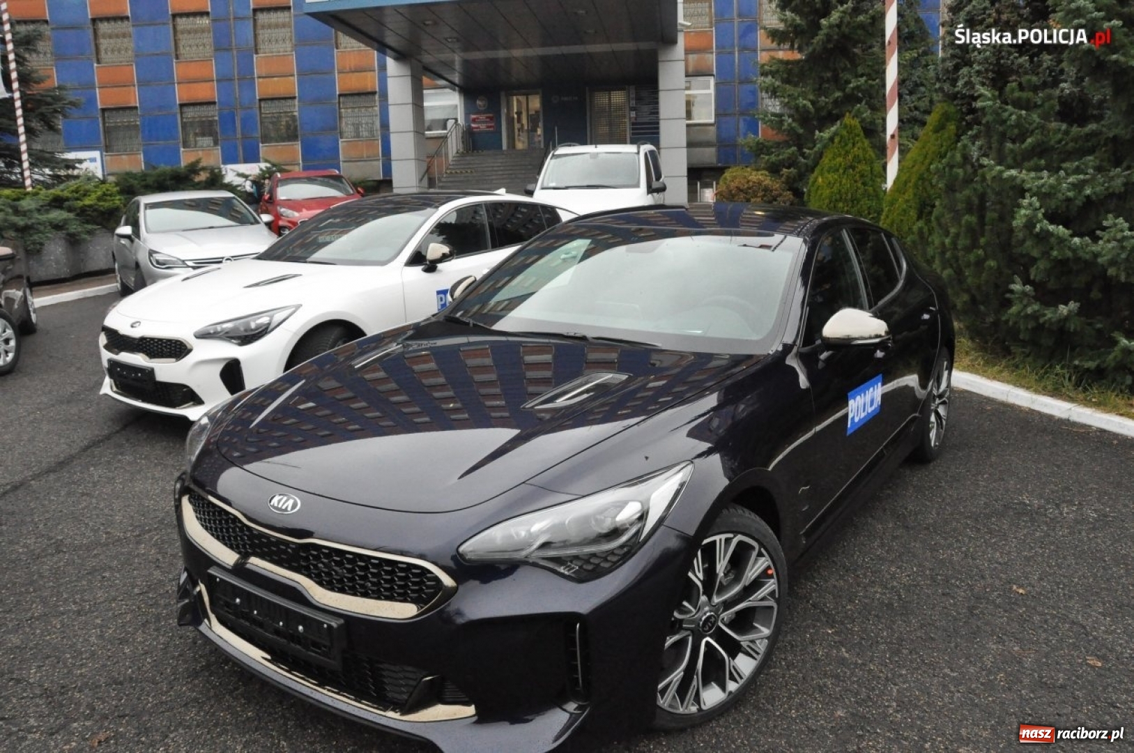 Zdjęcie w galerii na portalu naszraciborz.pl: To są wozy śląskiej grupy SPEED  wiadomości z regionu