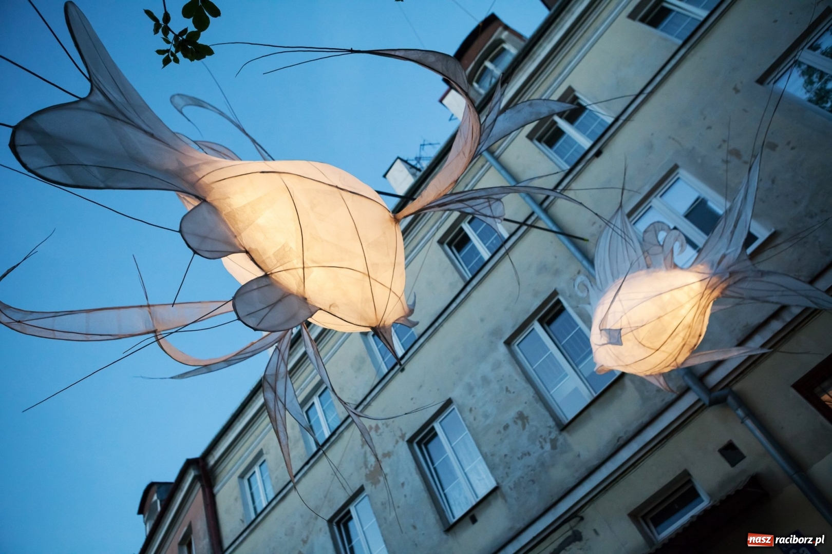 Zdjęcie w galerii na portalu naszraciborz.pl: Warsztaty budowy wielkoformatowych rzeźb świetlnych na FRU Festiwal wiadomości z regionu