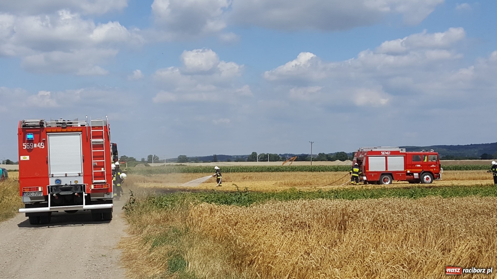 Zdjęcie w galerii na portalu naszraciborz.pl: Pożar ścierniska w Bieńkowicach  wiadomości z regionu