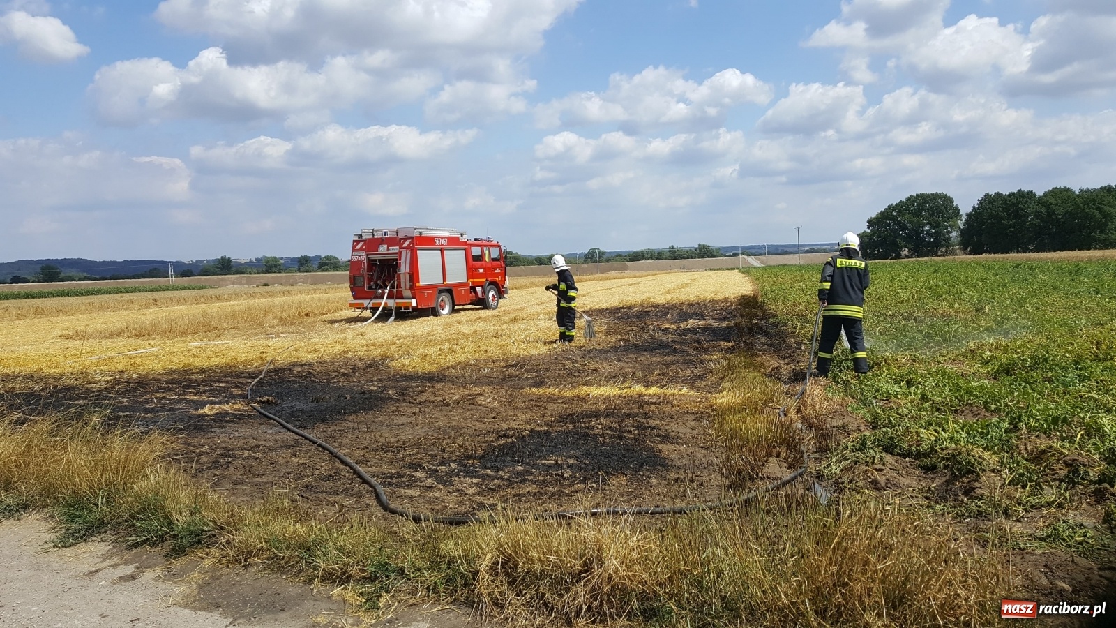 Zdjęcie w galerii na portalu naszraciborz.pl: Pożar ścierniska w Bieńkowicach  wiadomości z regionu