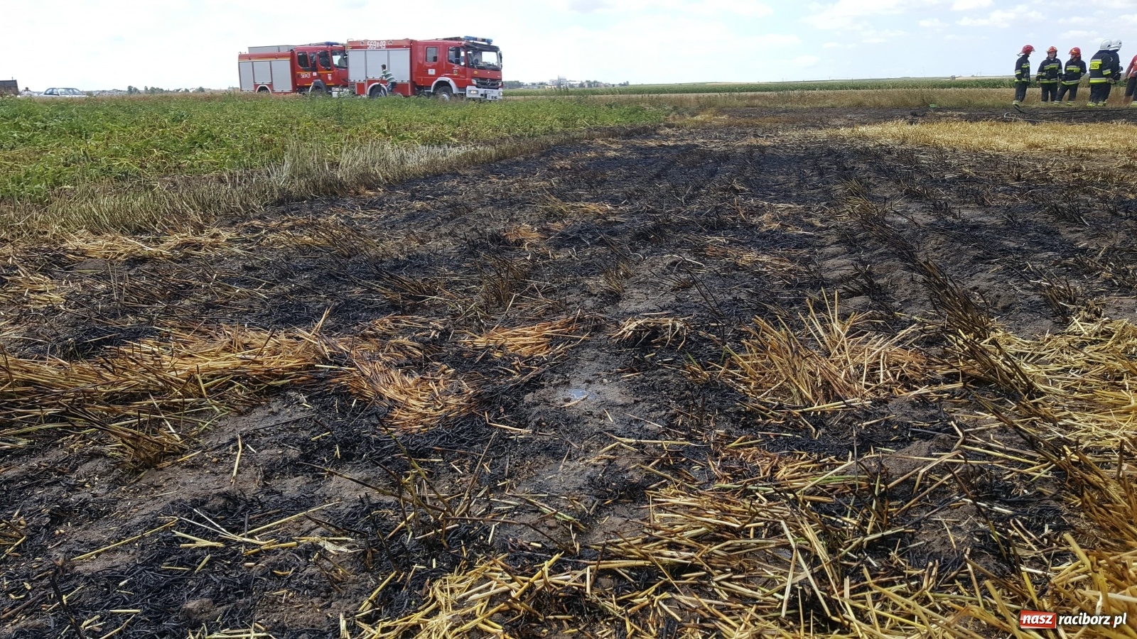 Zdjęcie w galerii na portalu naszraciborz.pl: Pożar ścierniska w Bieńkowicach  wiadomości z regionu