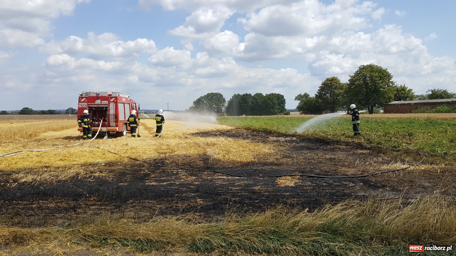 Zdjęcie w galerii na portalu naszraciborz.pl: Pożar ścierniska w Bieńkowicach  wiadomości z regionu