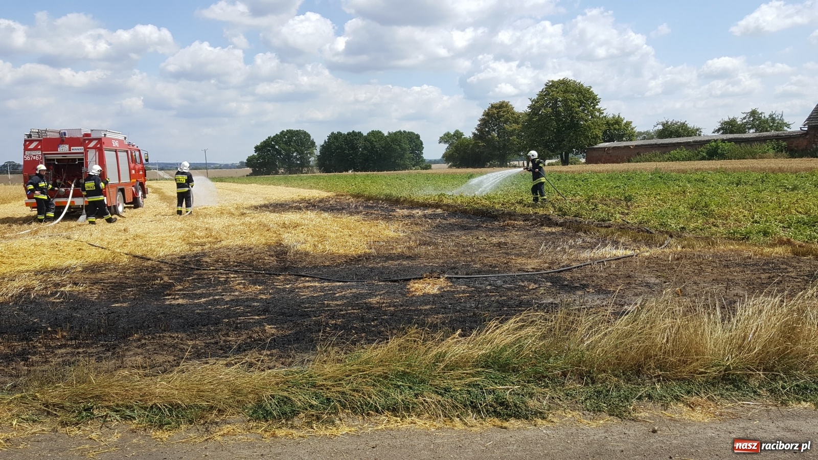Zdjęcie w galerii na portalu naszraciborz.pl: Pożar ścierniska w Bieńkowicach  wiadomości z regionu